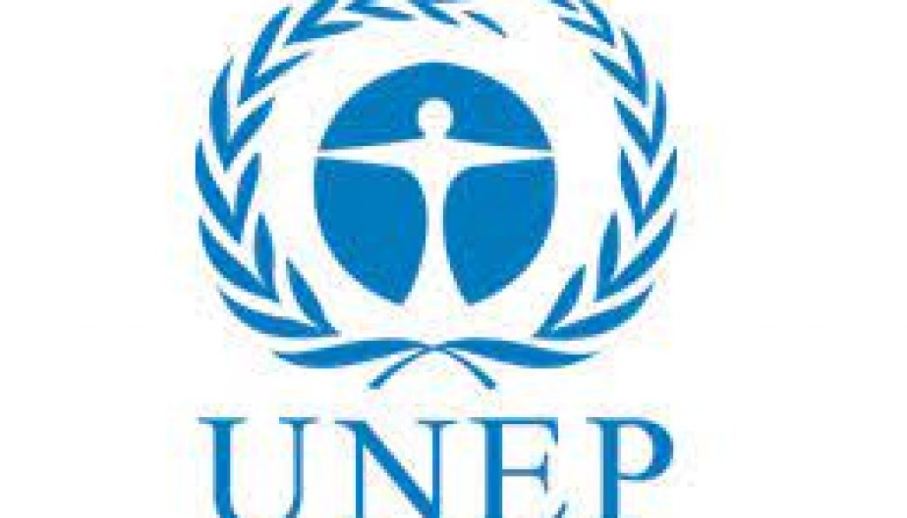 ASSOCIATE PROGRAMME MANAGEMENT OFFICER Job Ref. KE/UNEP/0609/22