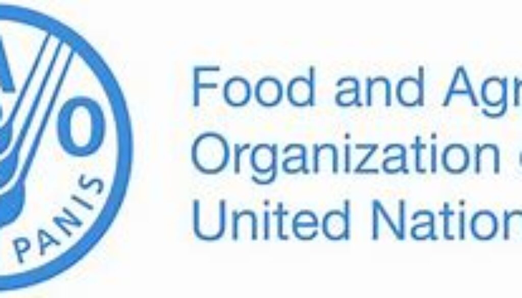 Operations Assistant – SC6 – Job Ref. KEN/FAO/082319
